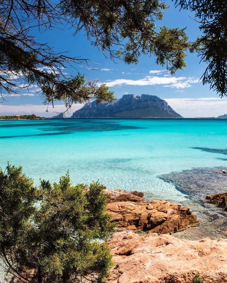Porto Istana Beach House ออลเบีย ภายนอก รูปภาพ